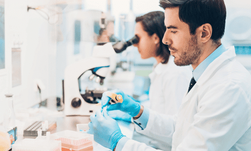 Picture of researchers in a lab. What does science say about seed oils?